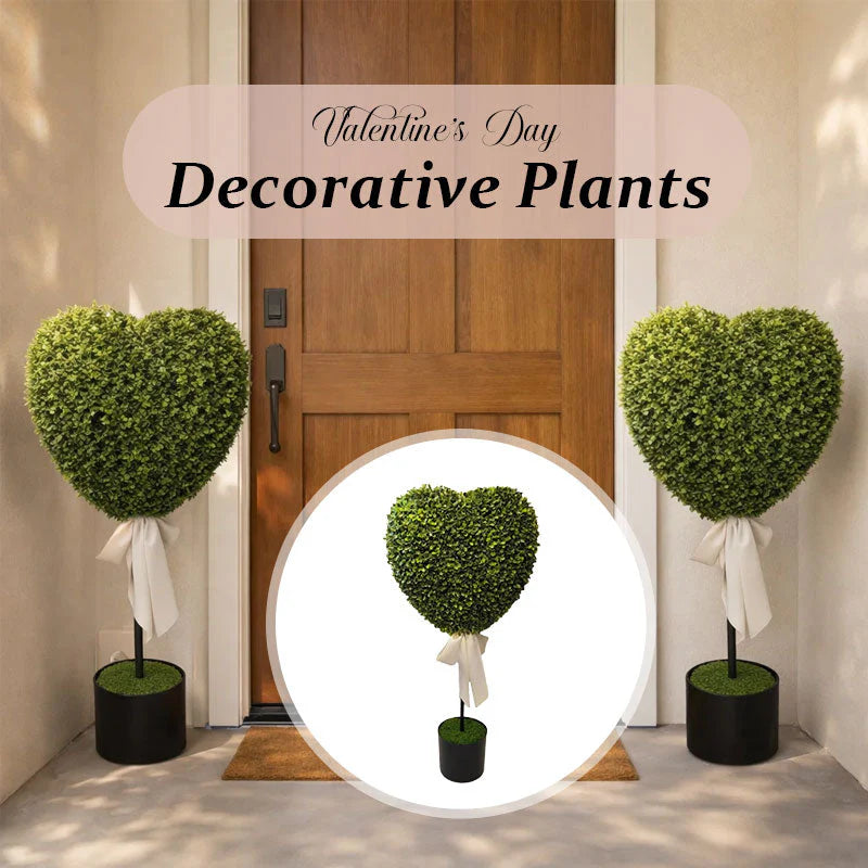 Valentine's Day Decorative Plants