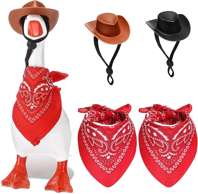 🏜️ Deluxe Mini Western Cowboy Goose Costume Set