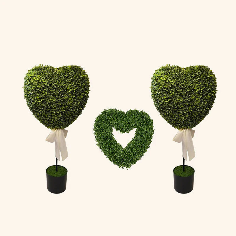 Valentine's Day Decorative Plants